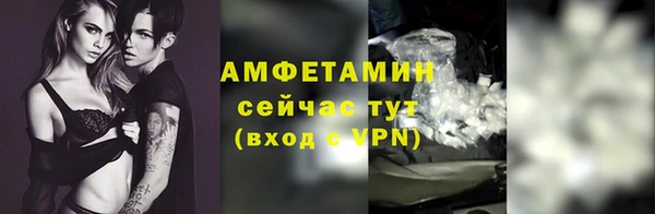 сатива Корсаков