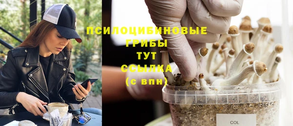 синтетический гашиш Балахна